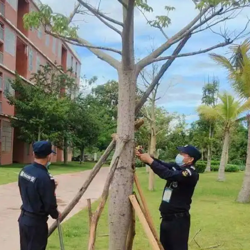 聞“風(fēng)”而動，全力以“復(fù)” | 災(zāi)后重建，百雀人在行動