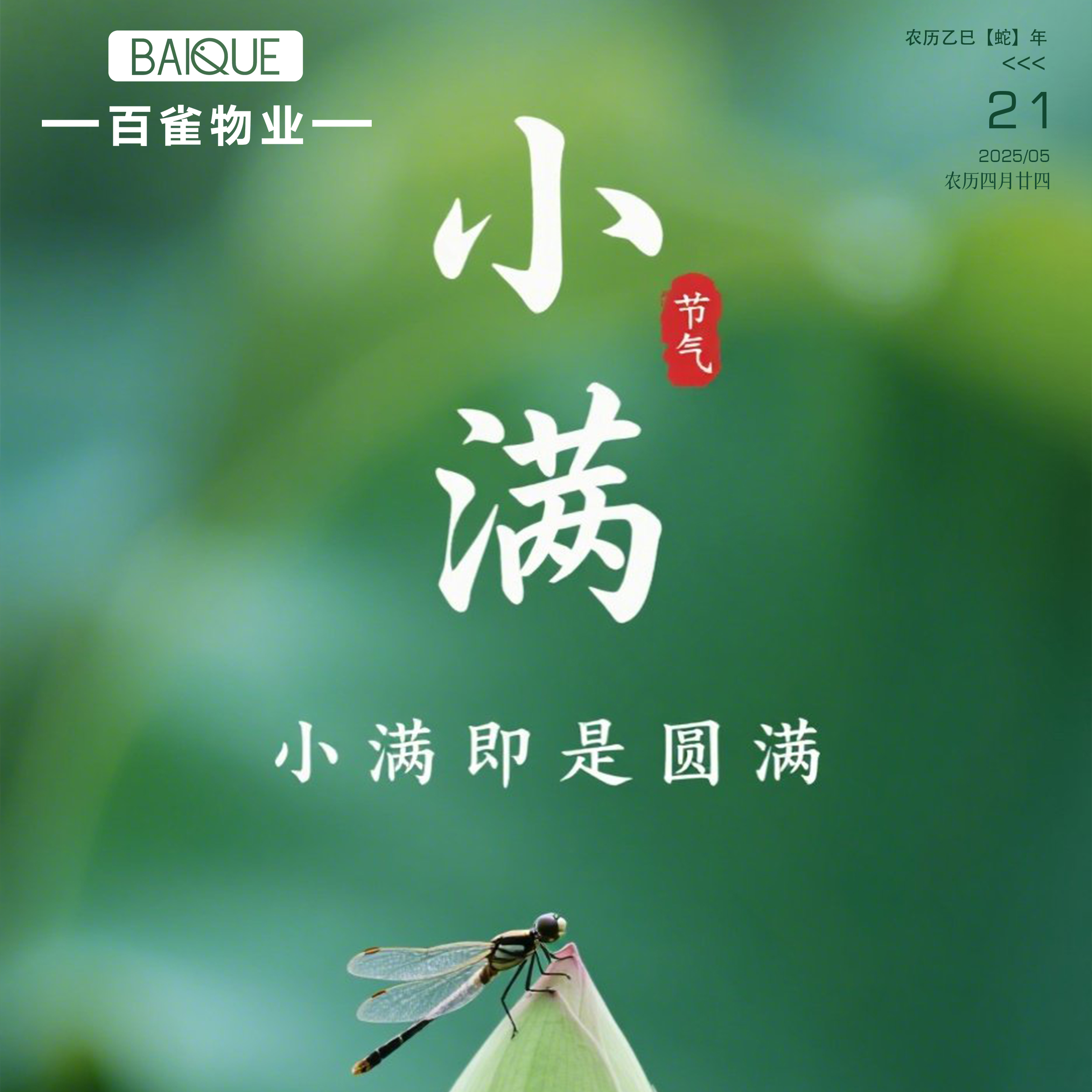 二十四節(jié)氣 | 小滿(mǎn)